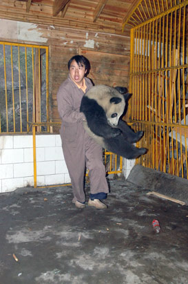 Wolong Panda Reserve