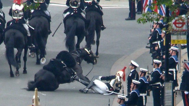 royal wedding april 29th. A horse falls during the royal