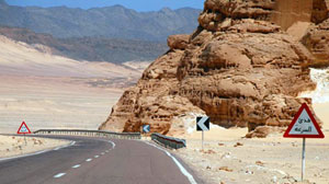 Sinai Desert