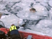 Scientists Rescue Dog Trapped on Ice