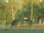 VIDEO: Why are hundreds of kangaroos overrunning towns in the Australian outback?