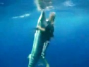 Daredevil Wrestles Giant Fish