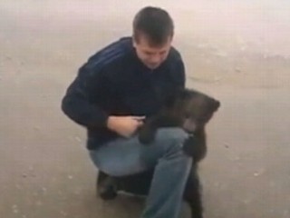 Watch: Cutest Bear Attack Ever?