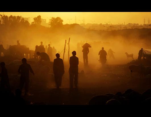 Today in Pictures: Oct. 24, 2012