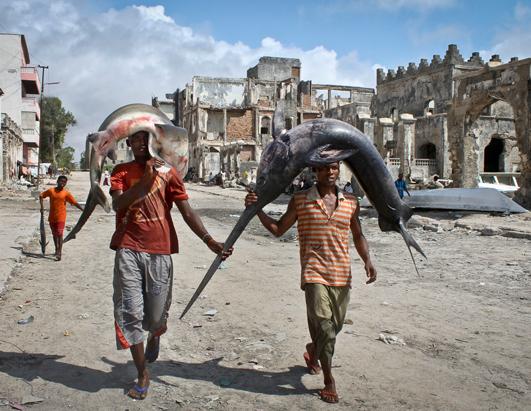 Today in Pictures: Oct. 25, 2012. Somalis carry a swordfish and a shark on ... ap 01 today in pictures nt 121025 ssh Today in Pictures: Oct. 25, 2012. Somalis carry a swordfish and a shark on ...