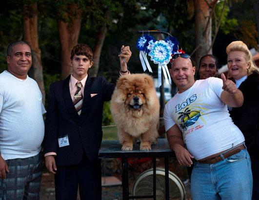 Cuban Dog Expo is Underway in Havana