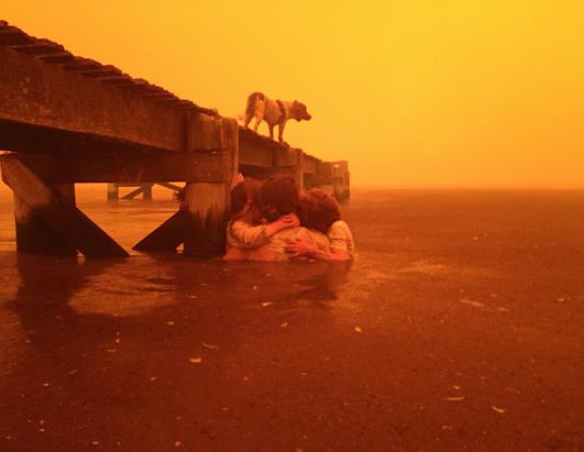 Bushfires in Australia Leave Path of Destruction