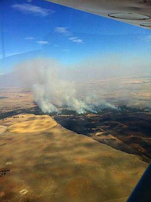 Bushfires in Australia Leave Path of Destruction