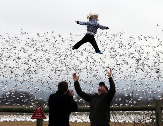 Today in Pictures: Dec. 28, 2012
