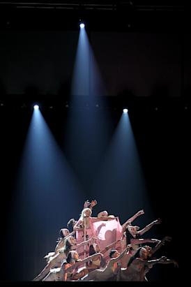 Today in Pictures: Nov. 19, 2012