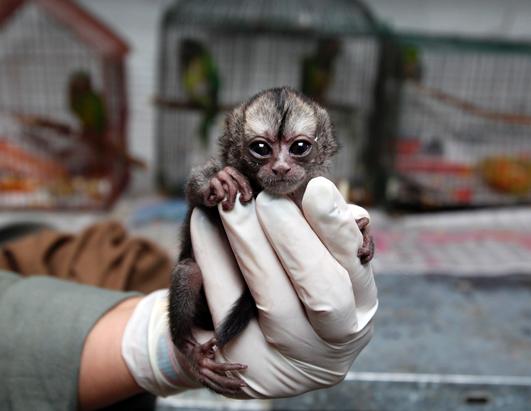 Today in Pictures: Feb. 19, 2013