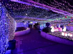 Australia Brightens With Record-Setting Christmas Lights Display - ABC News