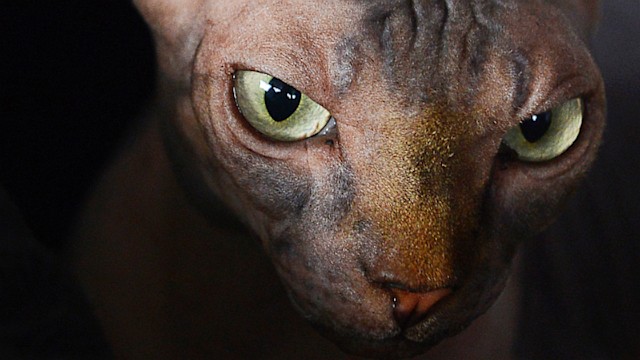 This Week In Pictures: Top Photos from Around the Globe