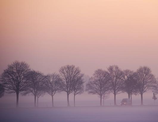 Today in Pictures: Jan. 25, 2013