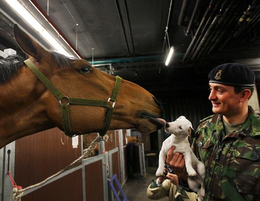 Today in Pictures: April 19, 2012