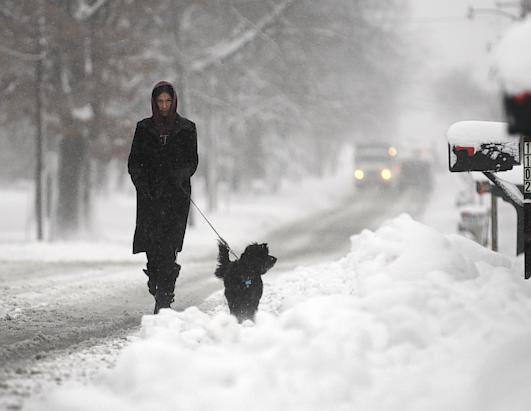 Today in Pictures: Dec. 26, 2012