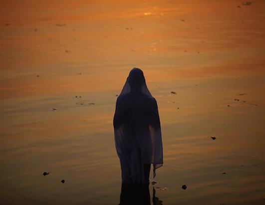 Today in Pictures: Nov. 19, 2012