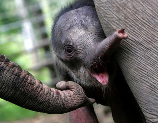 Today in Pictures: Sept. 20, 2012