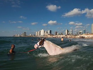 Photos: Today in Pictures: Aug. 22, 2012