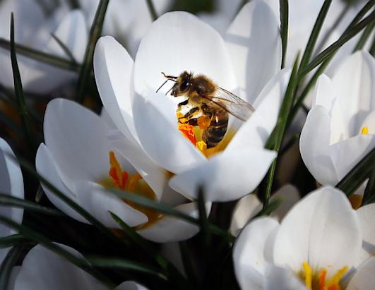 Today in Pictures: March 6, 2013