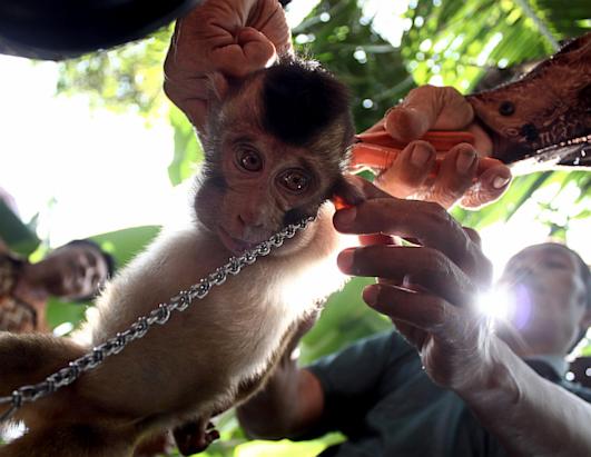 Today in Pictures: Feb. 20, 2013