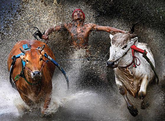 2013 World Press Photo Winners