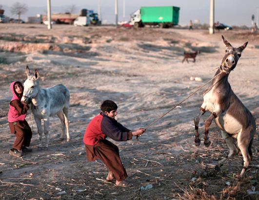 Today in Pictures: Jan. 24, 2013