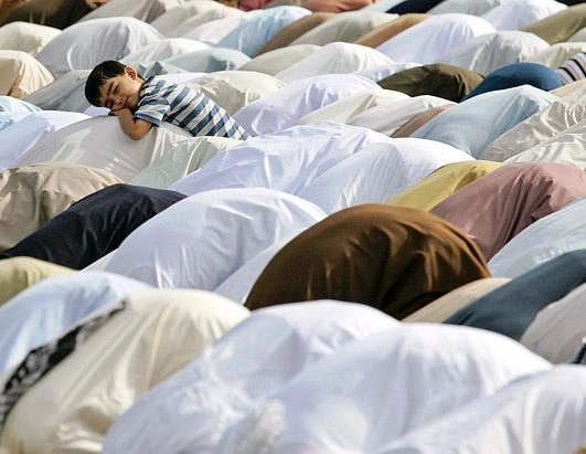 Today in Pictures: Aug. 20, 2012