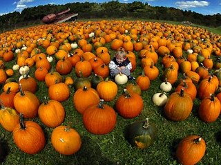 Photos: Today in Pictures: Sept. 21, 2012
