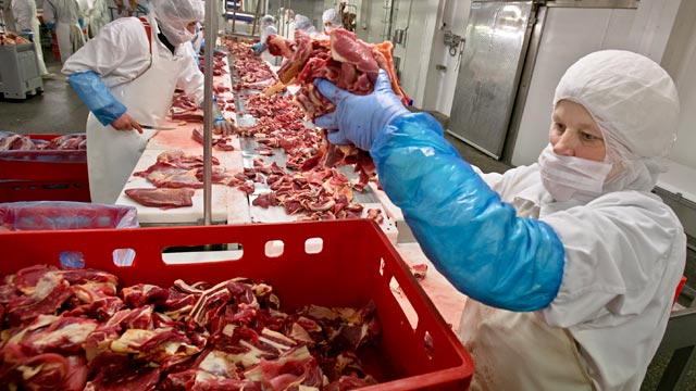 PHOTO: Meat plant