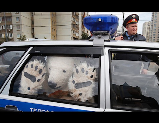 Today in Pictures