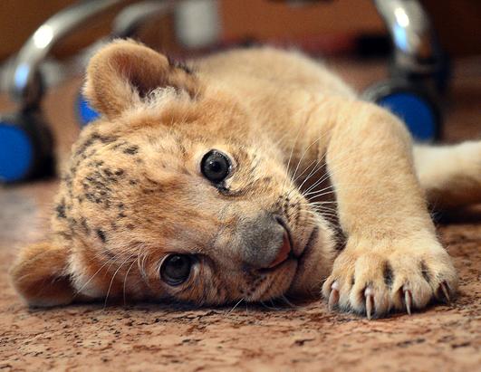 Today in Pictures: Sept. 19, 2012