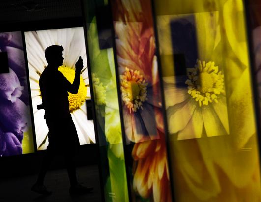 Today in Pictures: Aug. 23, 2012