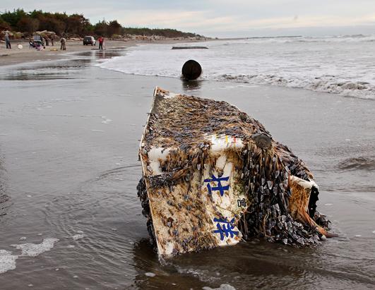 Tsunami Beach Debris
