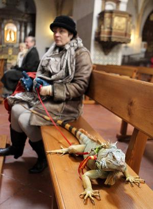 Today in Pictures: Jan. 17, 2013