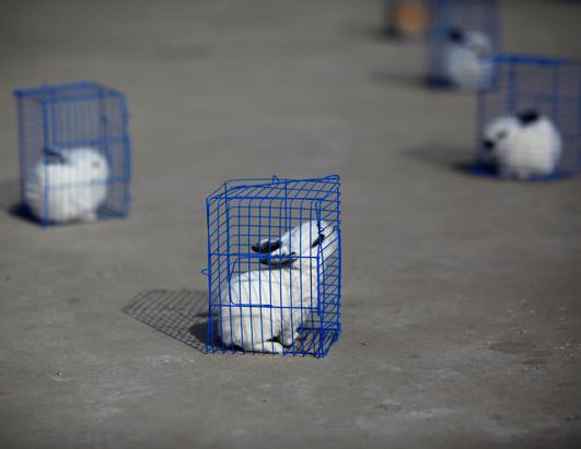 Today in Pictures: Feb. 15, 2013