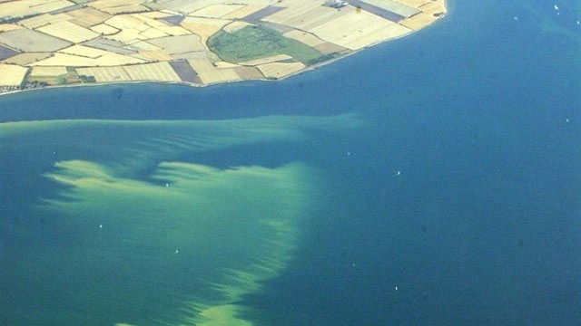 PHOTO: A file photo of an aerial view taken on August 10, 2003 of the algae slick off the Northern German Baltic coast near the Fehmarnsund-bridge.