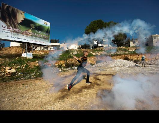 Today in Pictures: Dec. 28, 2012