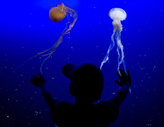 Today in Pictures: Jan. 18, 2013