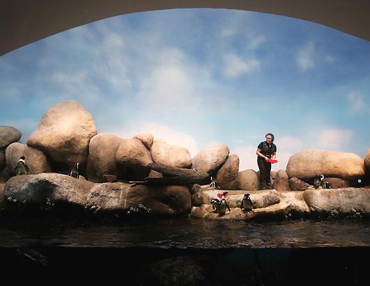 Today in Pictures: Feb. 14, 2013