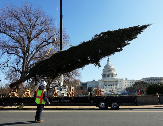 Today in Pictures