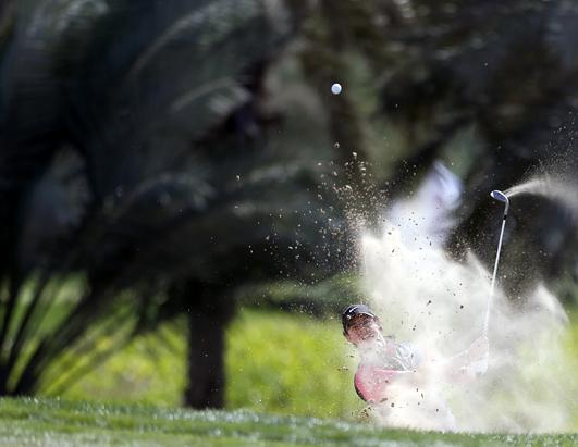 Today in Pictures: Jan. 17, 2013
