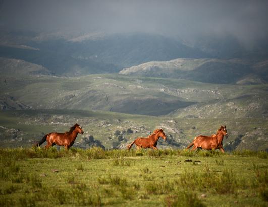 Today in Pictures: Jan. 15, 2013