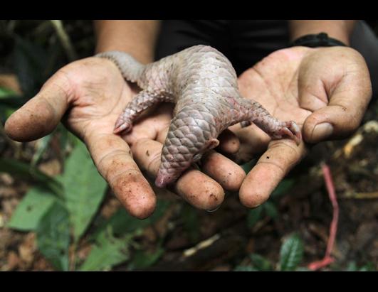 Today in Pictures: July 31, 2012