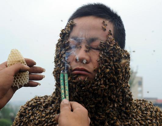 Today in Pictures: April 19, 2012