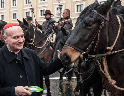 Vatican Annual Blessing of Animals 