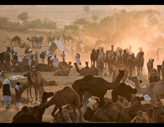 Today in Pictures: Nov. 21, 2012