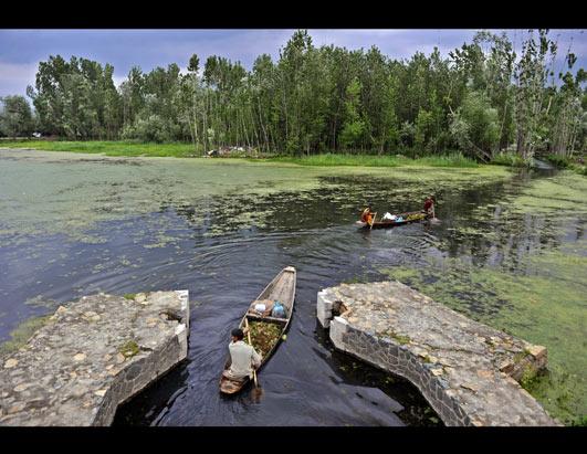 Today in Pictures: May 11, 2012
