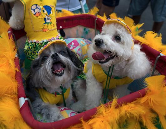 Global Carnival Celebrations 