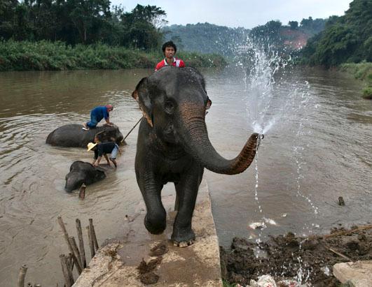 Today in Pictures